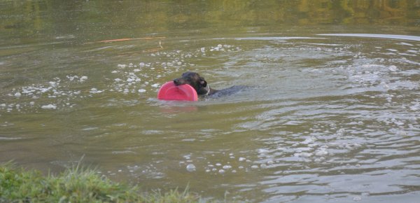 Lefárasztási technikák: szárazföldi és vízi sportok